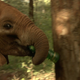 This Clip of British Babies Chilling With Elephant Babies Is Really Too Much
